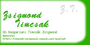 zsigmond timcsak business card